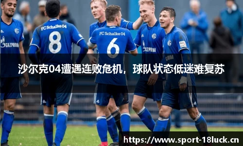 新利体育官网