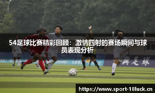 新利体育官网