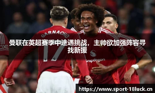 新利体育官方网站