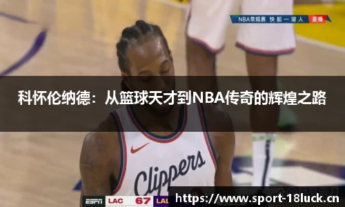 新利体育官方网站