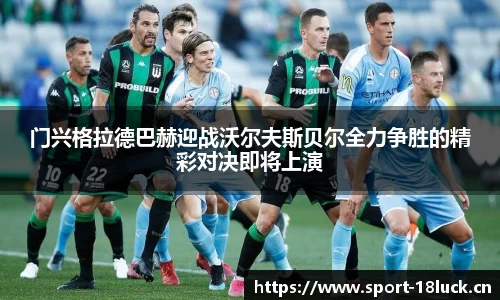 新利体育平台