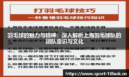 新利体育官网